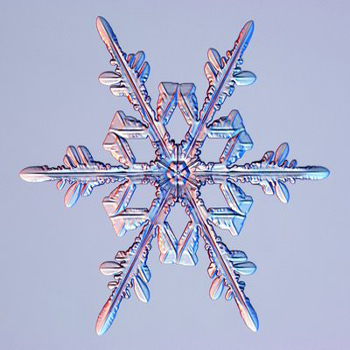 Ice Crystal